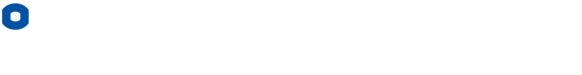 bluefors logo